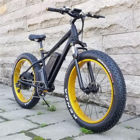 W W W Lithium Battery Beach Cruiser Fat Tire Electric Bike