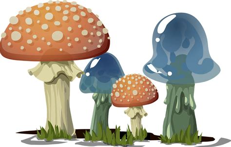 Free Vector Graphic Mushrooms Toadstools Fungi Free Image On