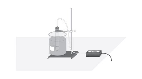 Sugar Fermentation > Experiment 12B from Biology with Vernier