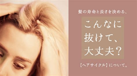 こんなに髪が抜けて大丈夫？髪の生え変わり【ヘアサイクル】について ｜ かけこみコスメ寺