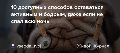 10 доступных способов оставаться активным и бодрым даже если не спал всю ночь Vsegda Tvoj