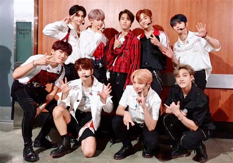 Stray kids мягкие игрушки