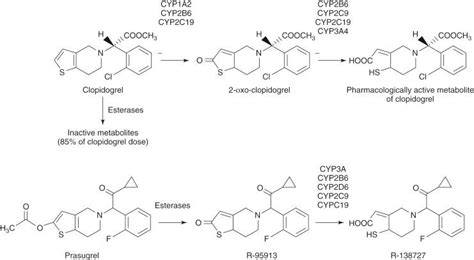 Platelet Inhibitor Agents Clinical Tree