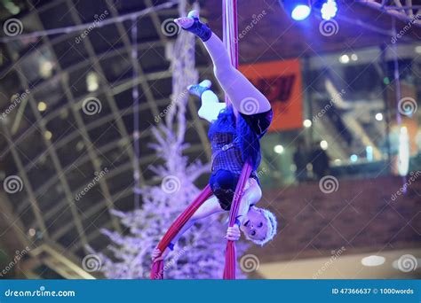 Trapeze Artist Stock Images - Download 732 Royalty Free Photos