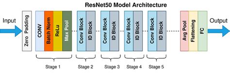 Resnet50 A Deep Learning Architecture Tackling The Vanishing Gradient Problem By Viswanath