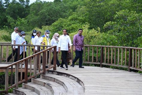 Kunjungi Taman Hutan Raya Ngurah Rai Jokowi Ini Tunjukkan Kepedulian