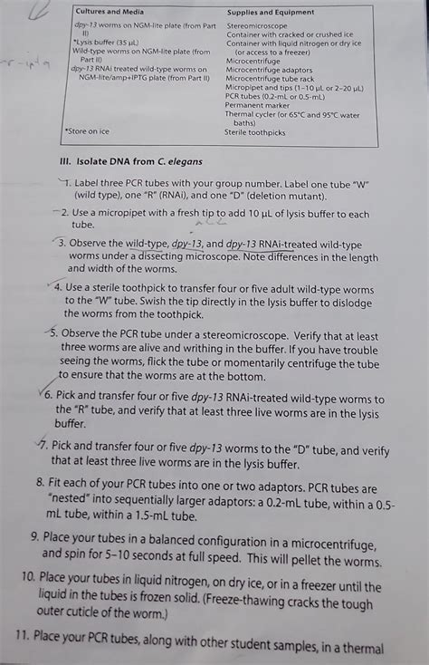 Solved Understanding Pcr And Dna Extraction