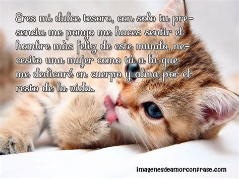 Imagenes De Gatos Con Frases De Amorimágenes Para Descargar