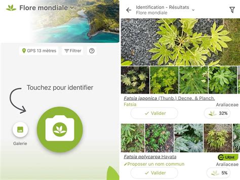 L application gratuite pour reconnaître n importe quelle plante