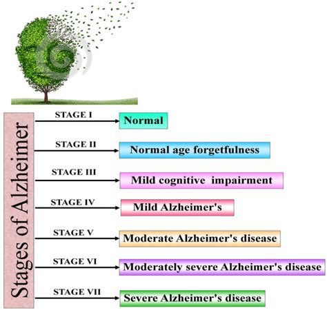 Stages Of Alzheimer's Progression Chart