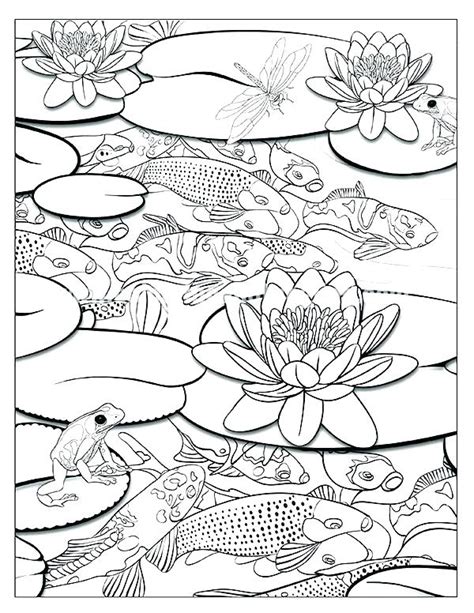 Pond Coloring Pages At Getdrawings Free Download