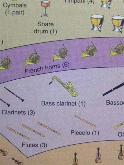 That Is NOT A Bass Clarinet Band Jokes Marching Band Humor Band Quotes