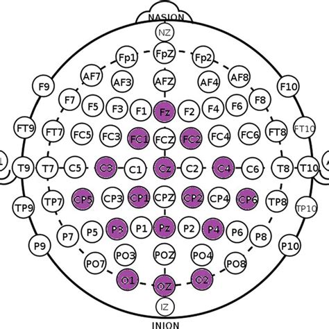 International 10 20 System For Eeg Electrode Placement And Highlighted