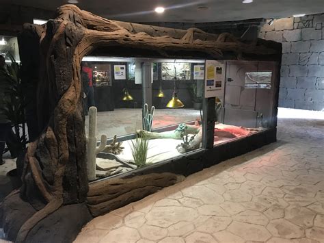 Reptilario En El Centro De Conservación Zoo Córdoba Nueva Inauguración