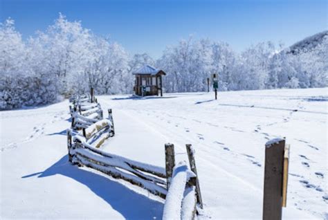 Georgia S Brasstown Bald In Winter Is A Sight To Be Seen