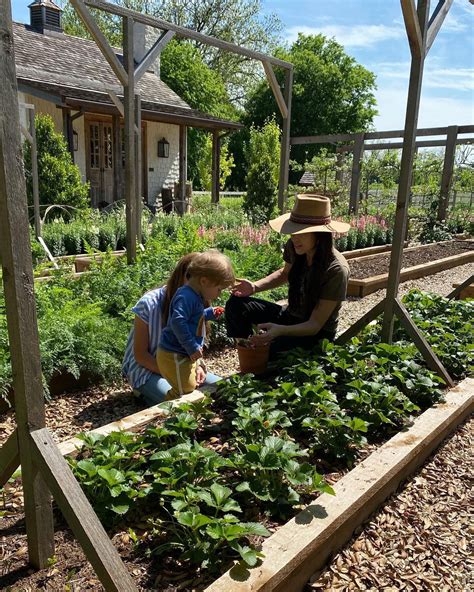 Joanna Gaines on Twitter: "Strawberries! 🍓… " Joanna Gaines Garden Layout, Joanna Gaines ...