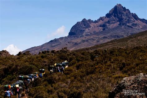 Rongai Route Ultimate Kilimanjaro