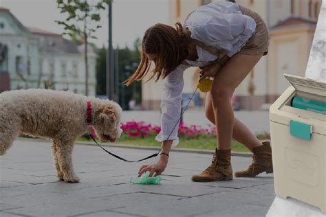 The Top Rated Dog Poop Disposal System: Easy And Efficient