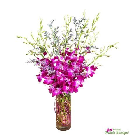 Exotic Dendrobium Orchid Arrangement - Natural Orchids Boutique