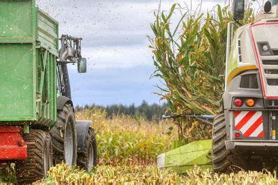 Bauernregeln für September Bauernweisheiten Lubera