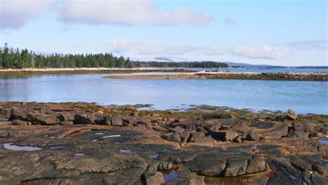 Rocky Coastline at Acadia National Park, Maine image - Free stock photo - Public Domain photo ...