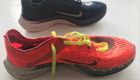 Introducir 75 Imagen Nike Running Shoes Lifespan Abzlocal Mx