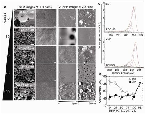 Cell Instructive Microporous Scaffolds Through Interface Engineering