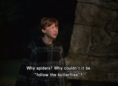 Why Spiders Why Couldn T It Be Follow The Butterfiles Ron