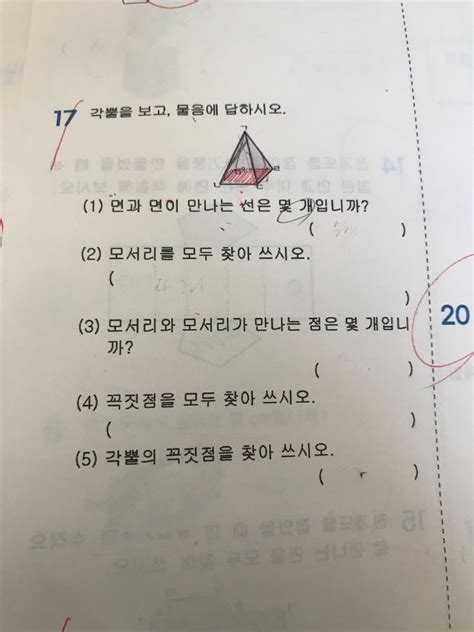 초등 6학년 2단원 각기둥과 각뿔 지식in