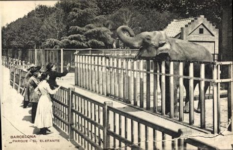 Ansichtskarte Postkarte Barcelona Katalonien Parque El Akpool De