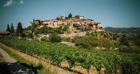 Tuscany Wine Tour Days Italy Real