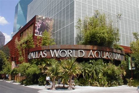 Tickets, Prices & Discounts - Dallas World Aquarium (Dallas)