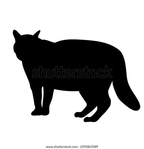 Cat Silhouette Vector Cat Breeds Side Stock Vector (Royalty Free ...