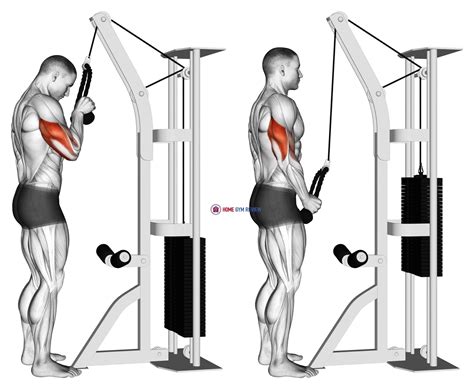 cable standing  arm tricep pushdown overhand grip home gym review