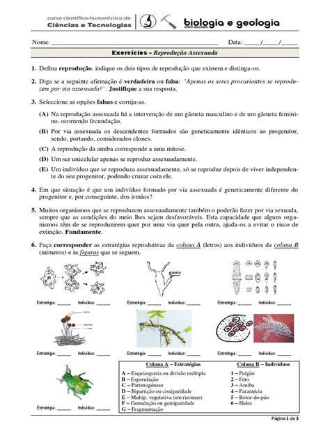 Exercícios Rep Assexuada Reprodução Clonagem