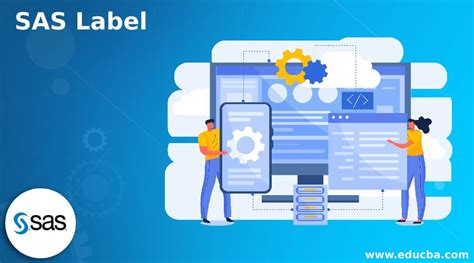 SAS Label How To Create SAS Label With Steps And Examples