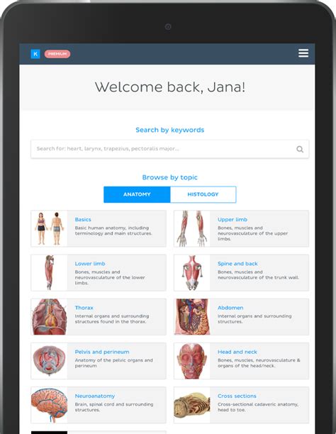 Online Anatomy Games Have Fun And Learn Simultaneously Kenhub