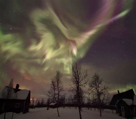 Twan Lapland Nights