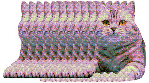 trippy cat gif | WiffleGif