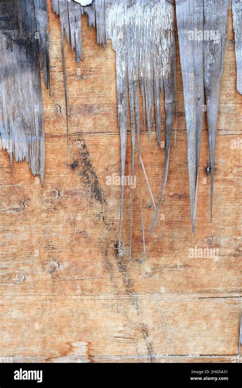 Old Weathered Plywood Background Cracked Plywood Old Aged Covered