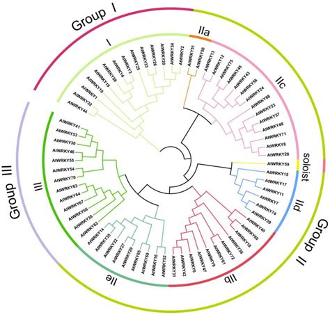 Advances In The Research On Plant Wrky Transcription Factors Responsive