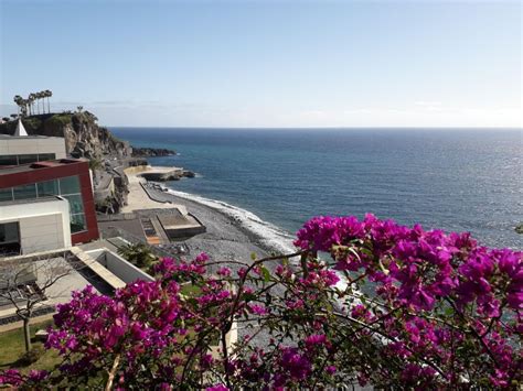 Tuk Tuk C Mara De Lobos Insel Madeira Getyourguide