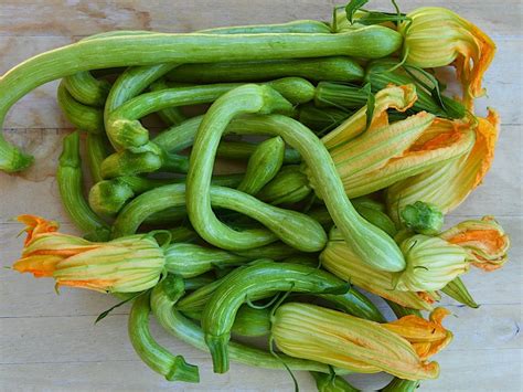 Zucchine Trombetta Cosa Sono Dove Trovarle E Come Usarle In Cucina