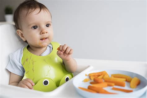 M Todo Blw Entenda O Baby Led Weaning