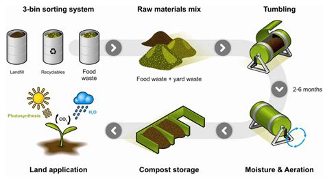 Ijms Free Full Text Biodegradation Of Biodegradable Polymers In