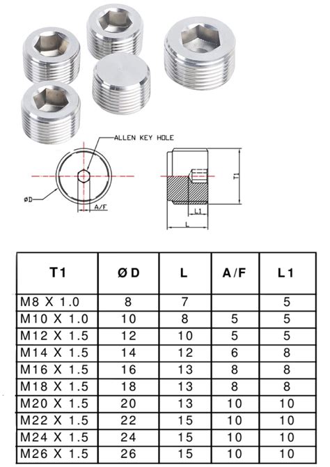 Brass Internal Hex Male Blanking Plug With BSPP BSPT And NPT Threads