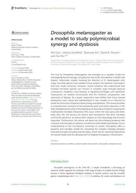 Pdf Drosophila Melanogaster As A Model To Study Polymicrobial Synergy