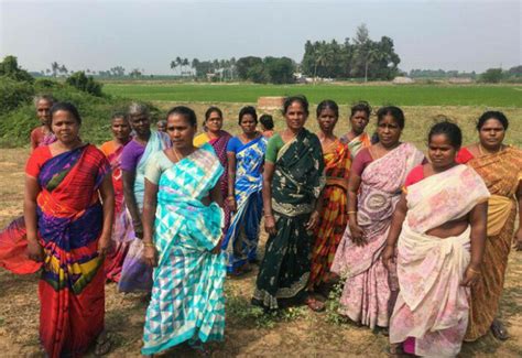 Microfinance Turns Indias Rural Women Into Budding Entrepreneurs