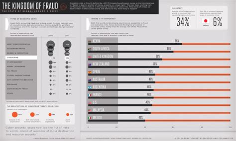 Delitos económicos en el mundo infografia infographic TICs y Formación