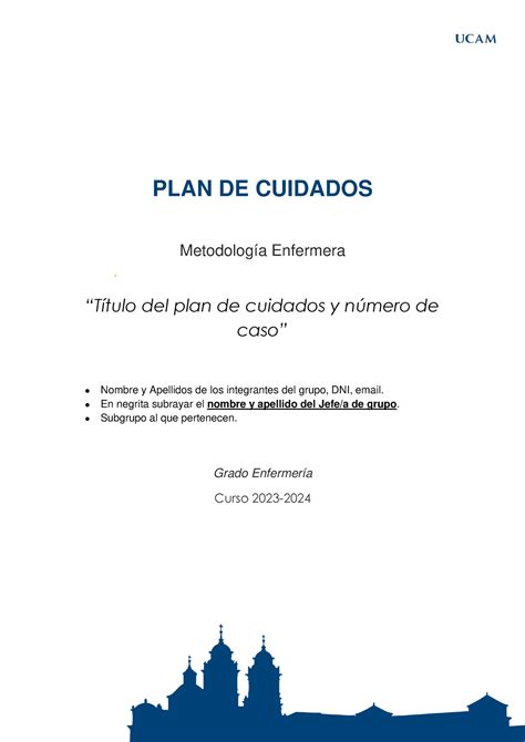 Plantilla Plan De Cuidados Plan De Cuidados Metodolog A